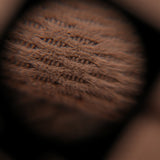 T400 imitation cotton needled bird eye cloth